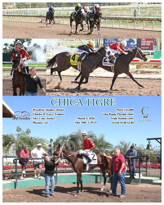 CHICA TIGRE - 03-03-26 - R01 - TUP - Coady Media - Kurtis Coady Photography