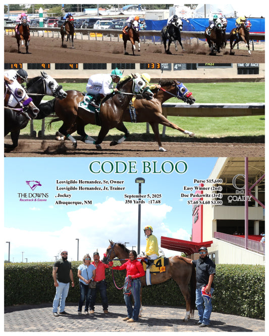 CODE BLOO - 09-05-25 - R01 - ALB - Coady Media - Kurtis Coady Photography