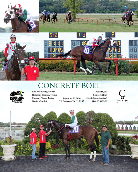CONCRETE BOLT - 09-29-26 - R01 - LAD
