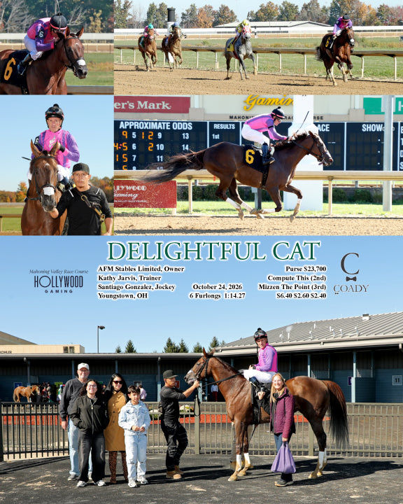 DELIGHTFUL CAT - 10-24-26 - R01 - MVR - Coady Media - Kurtis Coady Photography