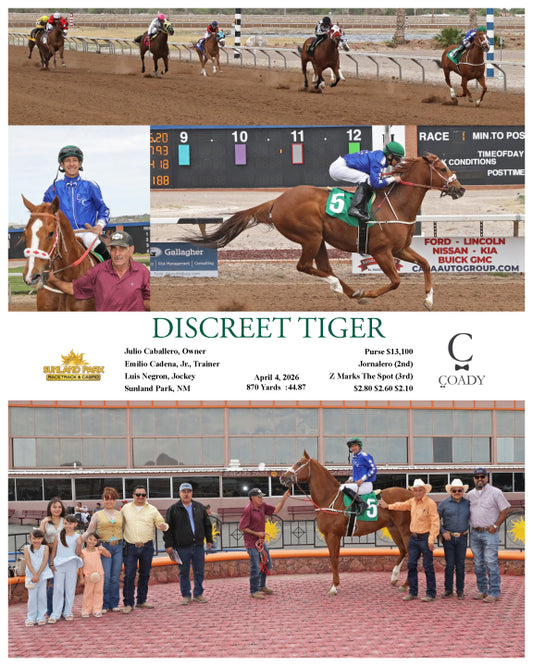 DISCREET TIGER - 04-04-26 - R01 - SUN - Coady Media - Kurtis Coady Photography