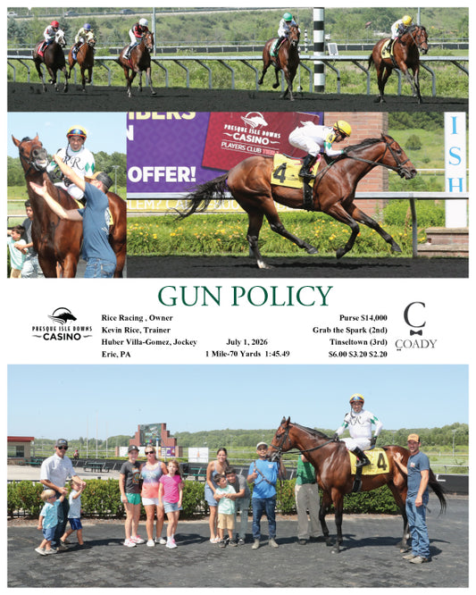 GUN POLICY - 07-01-26 - R01 - PID