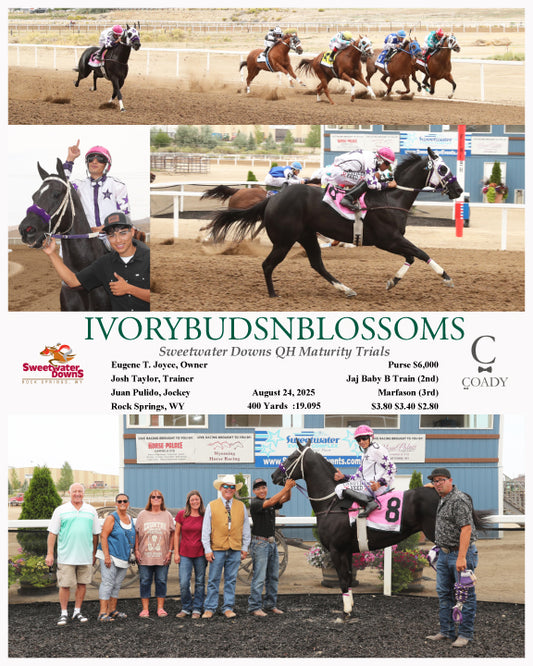 IVORYBUDSNBLOSSOMS - Sweetwater Downs QH Maturity Trials - 08-24-25 - R01 - SWF