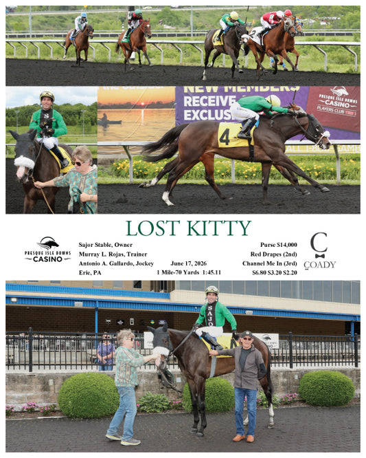 LOST KITTY - 06-17-26 - R01 - PID