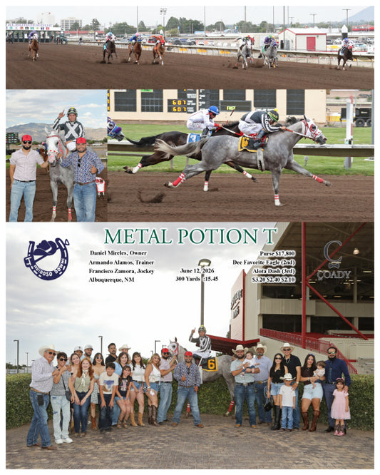 METAL POTION T - 06-12-26 - R01 - RUI
