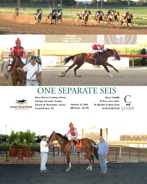 ONE SEPARATE SEIS - 10-16-26 - R01 - LS