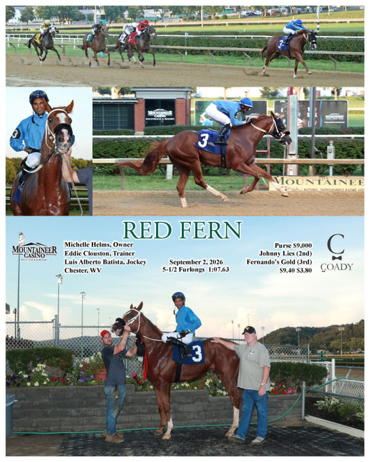 RED FERN - 09-02-26 - R01 - MNR