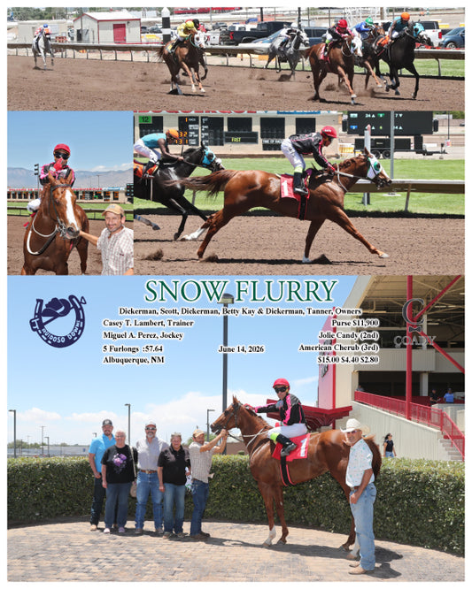 SNOW FLURRY - 06-14-26 - R01 - RUI