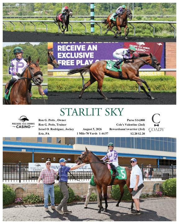 STARLIT SKY - 08-05-26 - R01 - PID