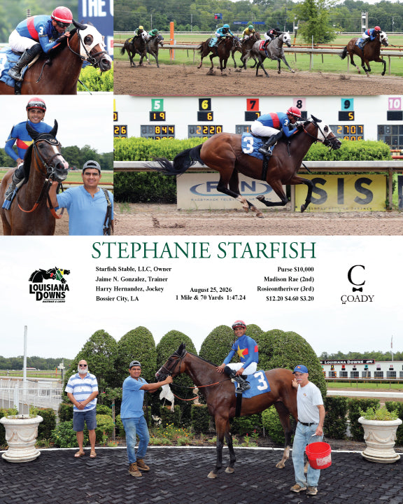 STEPHANIE STARFISH - 08-25-26 - R01 - LAD