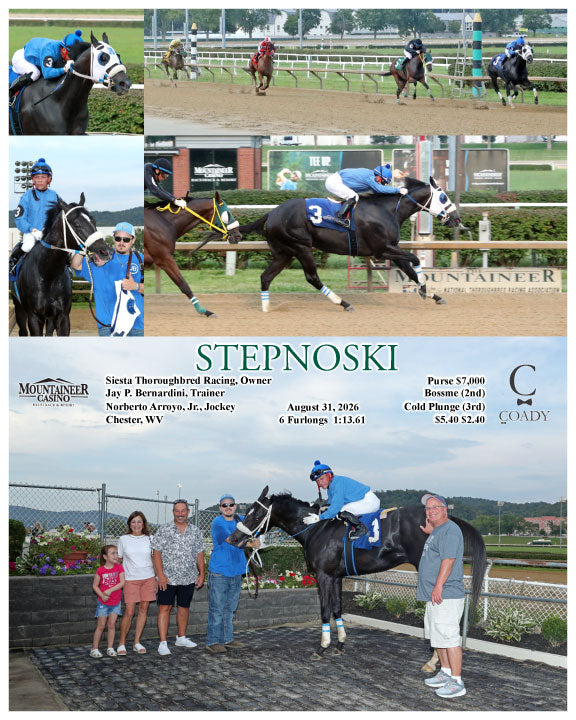 STEPNOSKI - 08-31-26 - R01 - MNR
