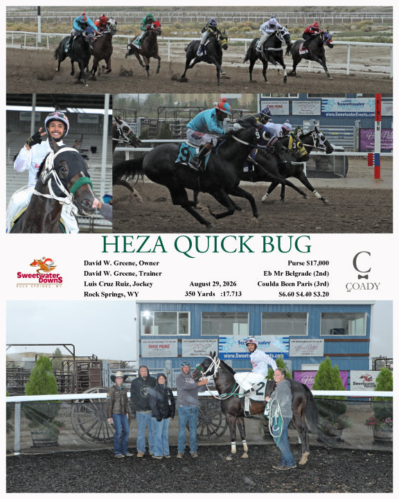 HEZA QUICK BUG - 08-29-26 - R01 - SWF
