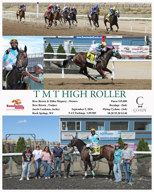 T M T HIGH ROLLER  - 09-05-26 - R01 - SWF