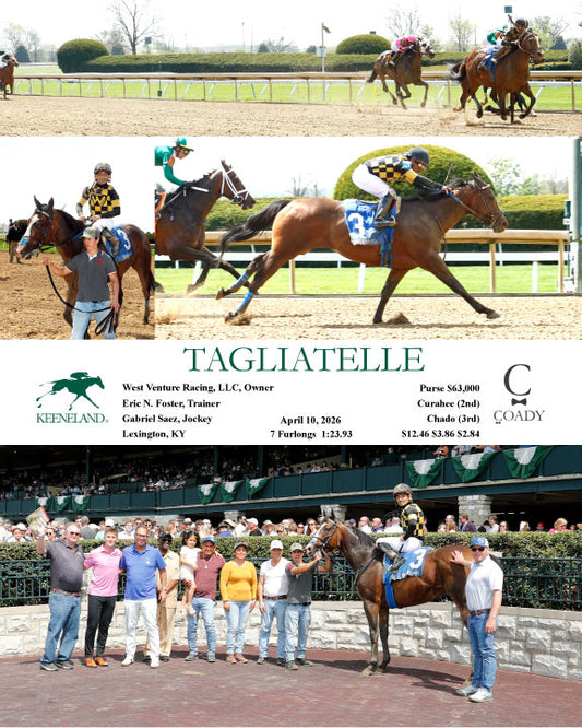 TAGLIATELLE - 041026 - Race 01 - KEE - Coady Media - Kurtis Coady Photography