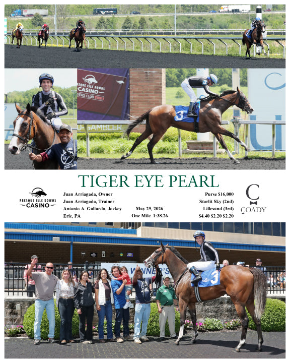 TIGER EYE PEARL - 05-25-26 - R01 - PID - Coady Media - Kurtis Coady Photography