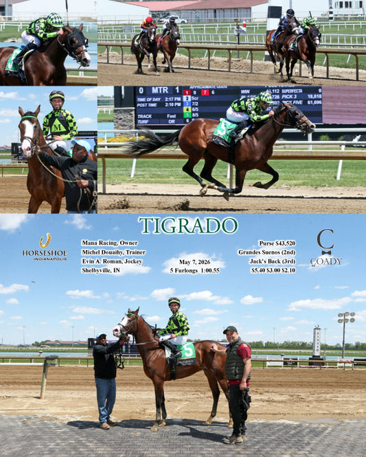 TIGRADO - 05-07-26 - R01 - IND - Coady Media - Kurtis Coady Photography