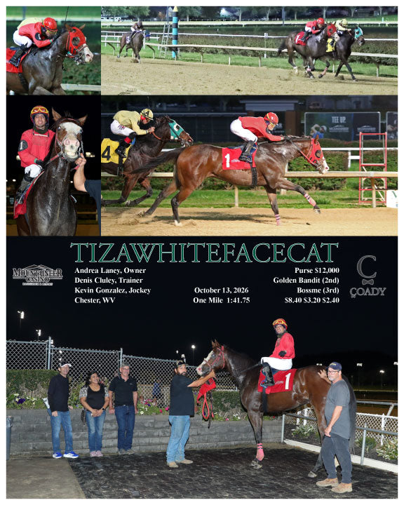 TIZAWHITEFACECAT - 10-13-26 - R01 - MNR