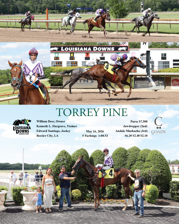 TORREY PINE - 05-16-26 - R01 - LAD - Coady Media - Kurtis Coady Photography