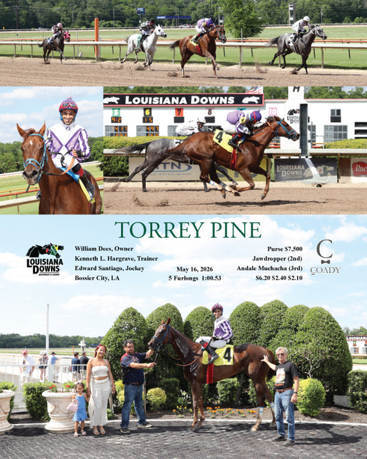 TORREY PINE - 05-16-26 - R01 - LAD - Coady Media - Kurtis Coady Photography