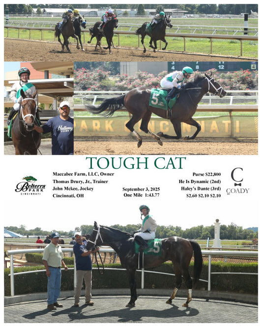 TOUGH CAT - 090325 - Race 01 - BTP