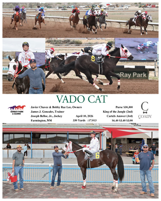 VADO CAT - 04-10-26 - R01 - SRP - Coady Media - Kurtis Coady Photography