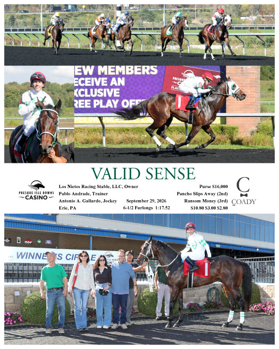 VALID SENSE - 09-29-26 - R01 - PID