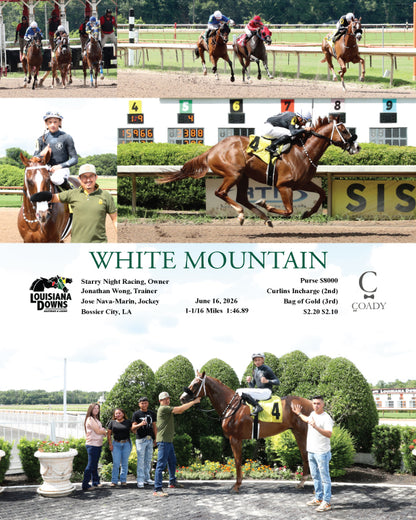 WHITE MOUNTAIN - 06-16-26 - R01 - LAD