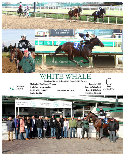 WHITE WHALE - 11-30-25 - R01 - CD