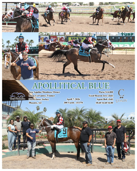 APOLLITICAL BLUE - 04-07-26 - R02 - TUP - Coady Media - Kurtis Coady Photography