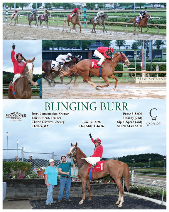 BLINGING BURR - 06-14-26 - R02 - MNR
