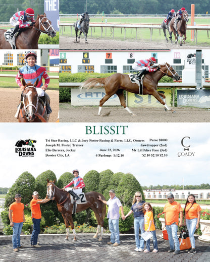 BLISSIT - 06-22-26 - R02 - LAD