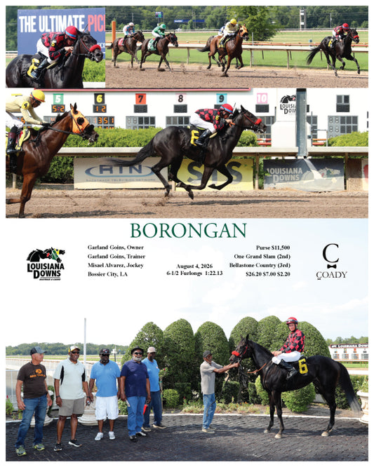 BORONGAN - 08-04-26 - R02 - LAD