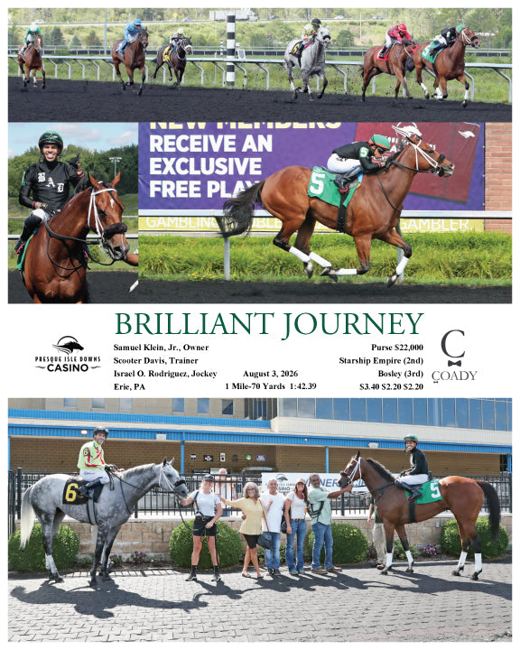 BRILLIANT JOURNEY - 08-03-26 - R02 - PID