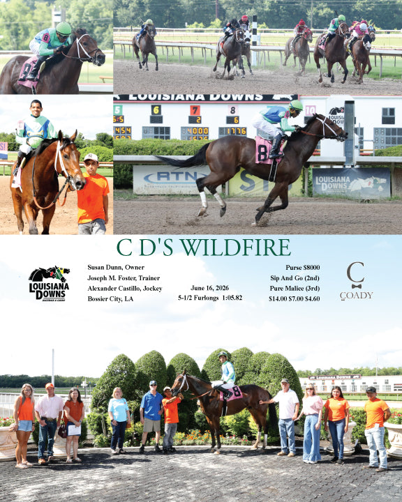 C D'S WILDFIRE - 06-16-26 - R02 - LAD