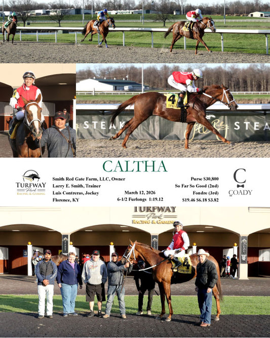 CALTHA - 03-12-26 - R02 - TP - Coady Media - Kurtis Coady Photography