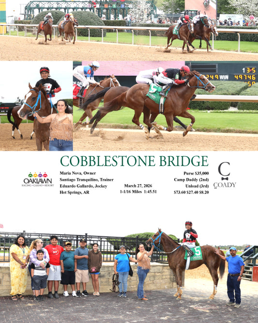 COBBLESTONE BRIDGE - 03-27-26 - R02 - OP - Coady Media - Kurtis Coady Photography