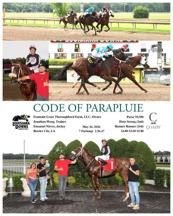 CODE OF PARAPLUIE - 05-26-26 - R02 - LAD