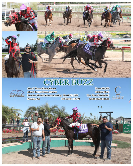 CYBER BUZZ - 03-12-26 - R02 - TUP - Coady Media - Kurtis Coady Photography