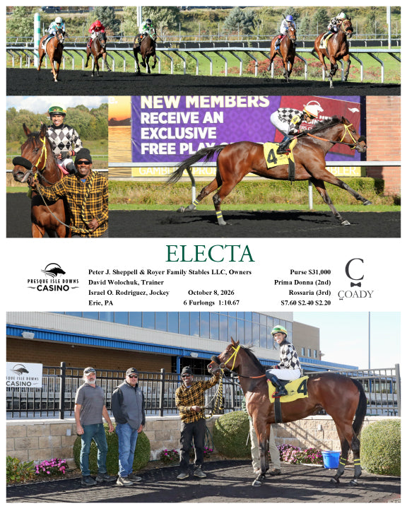 ELECTA - 10-08-26 - R02 - PID