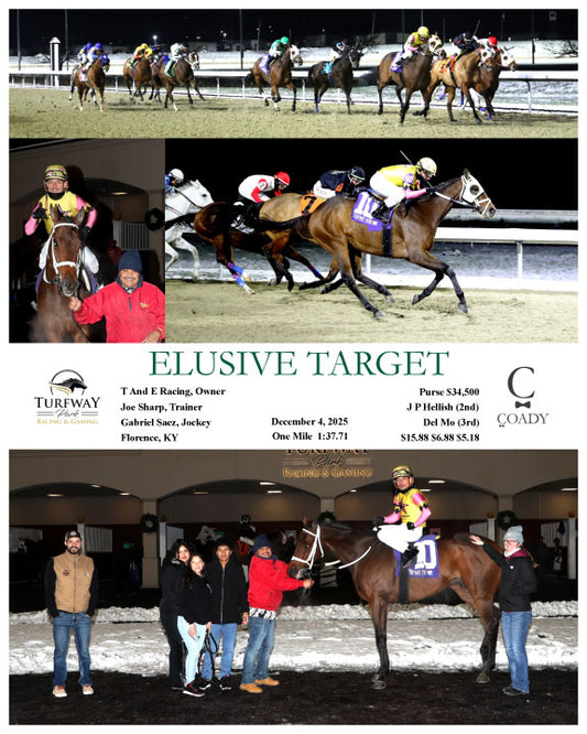 ELUSIVE TARGET - 12-04-25 - R02 - TP