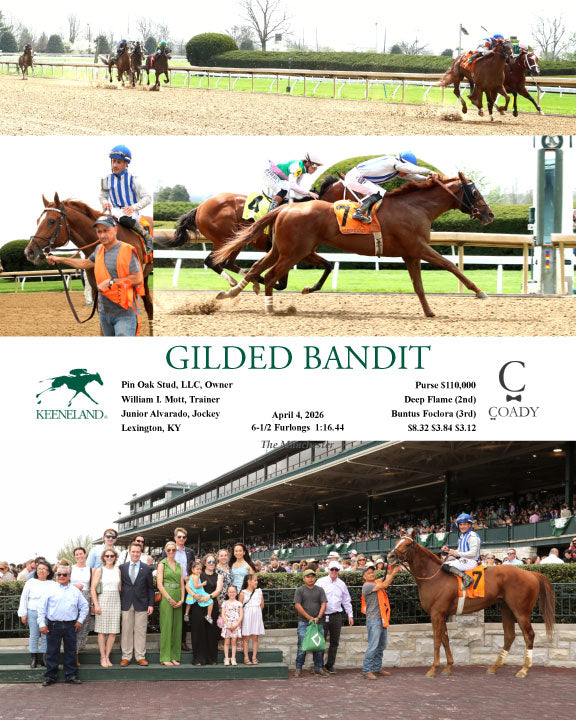 GILDED BANDIT - 040426 - Race 02 - Coady Media - Kurtis Coady Photography