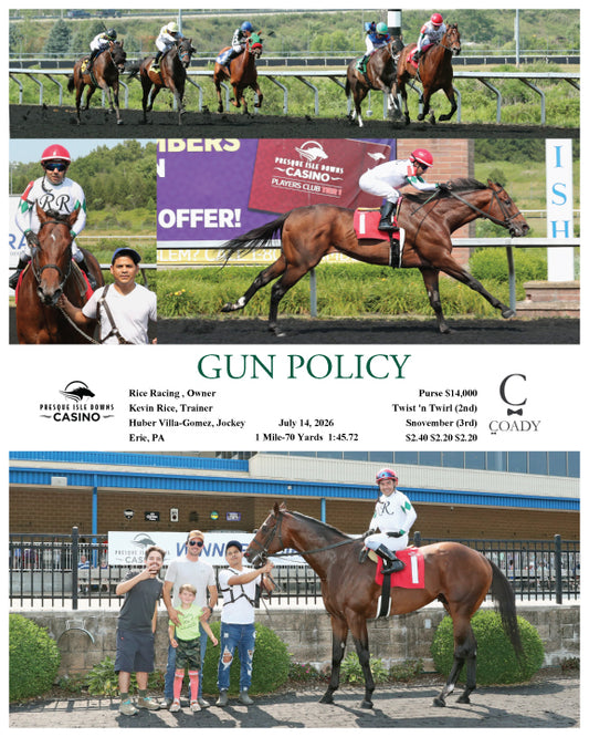 GUN POLICY - 07-14-26 - R02 - PID