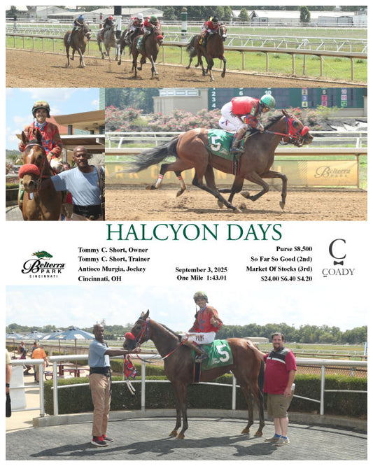HALCYON DAYS - 09-03-25 - R02 - BTP - Coady Media - Kurtis Coady Photography