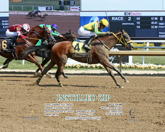 INSTILLED ZIP - 09-16-26 - R02 - IND - Action