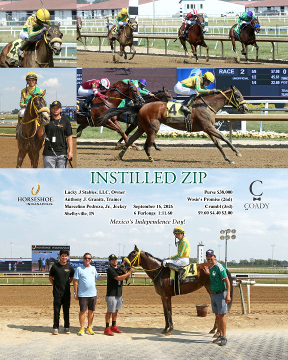 INSTILLED ZIP - 09-16-26 - R02 - IND