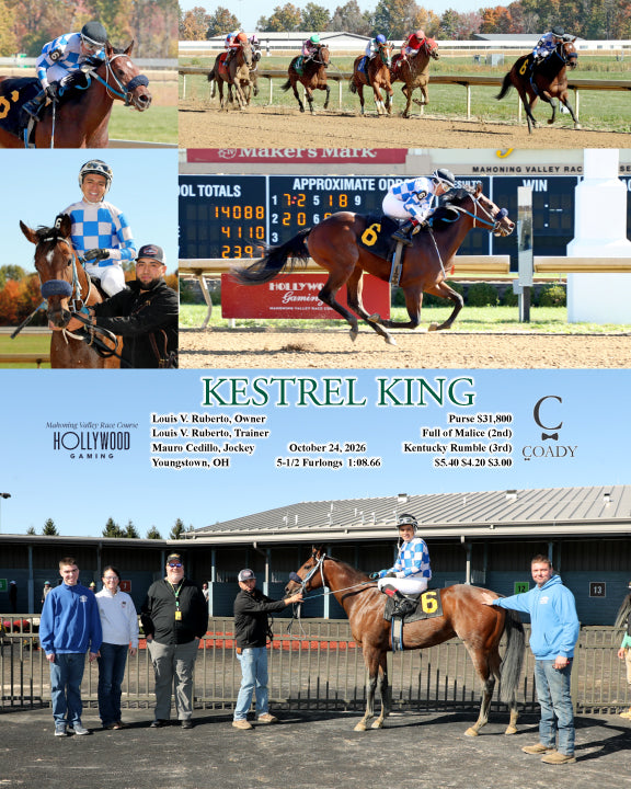 KESTREL KING - 10-24-26 - R02 - MVR - Coady Media - Kurtis Coady Photography