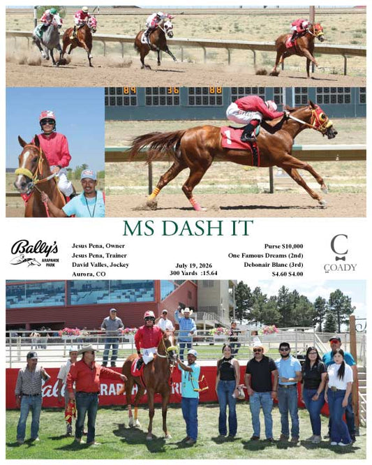 MS DASH IT - 07-19-26 - R02 - ARP