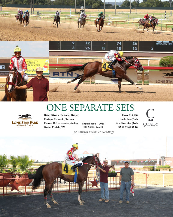 ONE SEPARATE SEIS - 09-17-26 - R02 - LSP