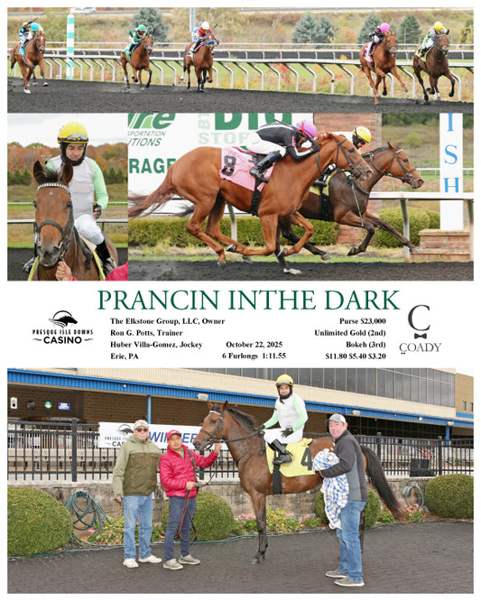 PRANCIN INTHE DARK - 10-22-25 - R02 - PID