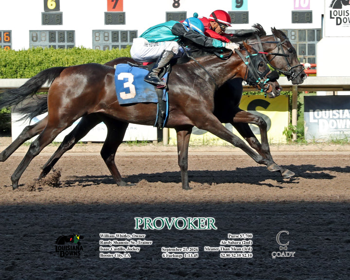 PROVOKER - 09-21-26 - R02 - LAD